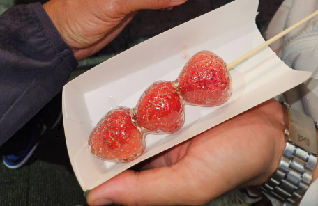 Gluten-free travel agent Japan