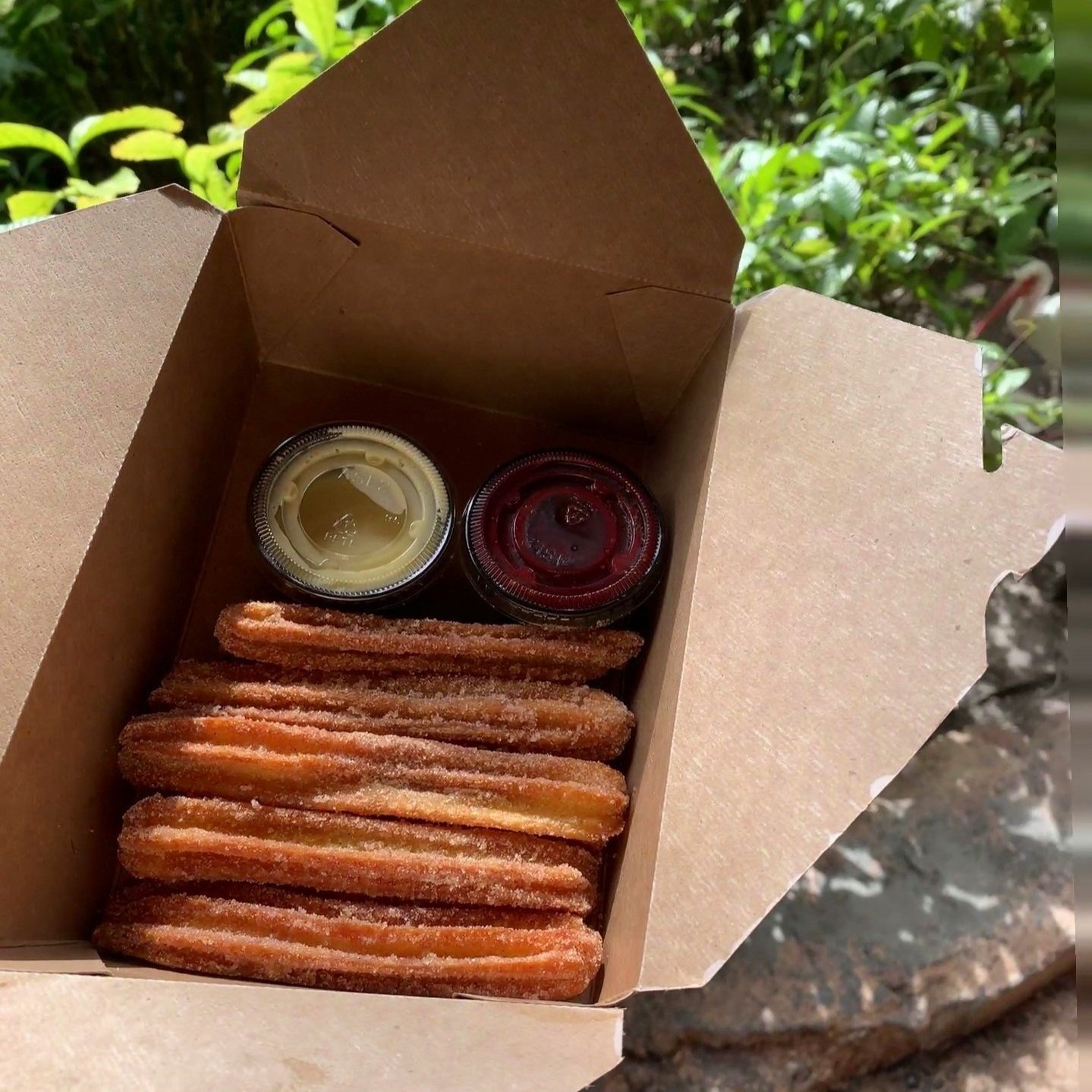 Disney World Gluten-free Snacks Churros