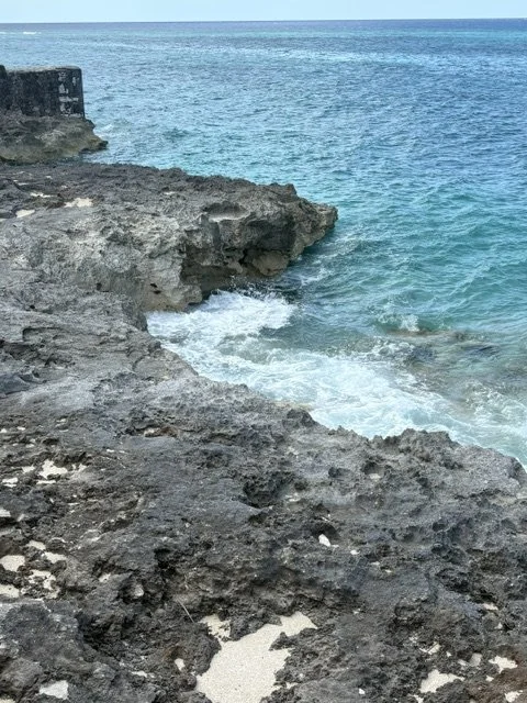 IMG_2784.jpeg