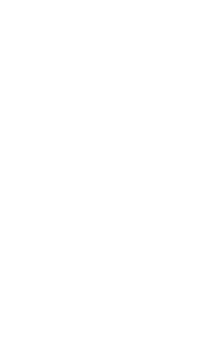 Outline drawing of a cypress tree with a tall, slender trunk and a canopy of drooping branches