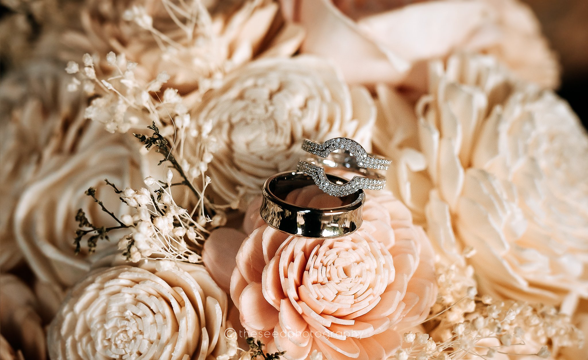 WEB PHOTOS (168).jpg