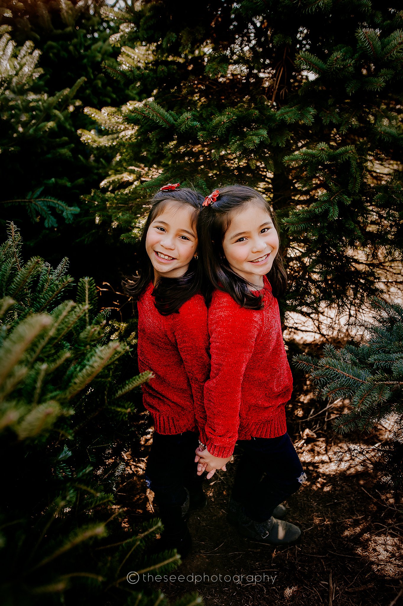 WEB PHOTOS (11).jpg