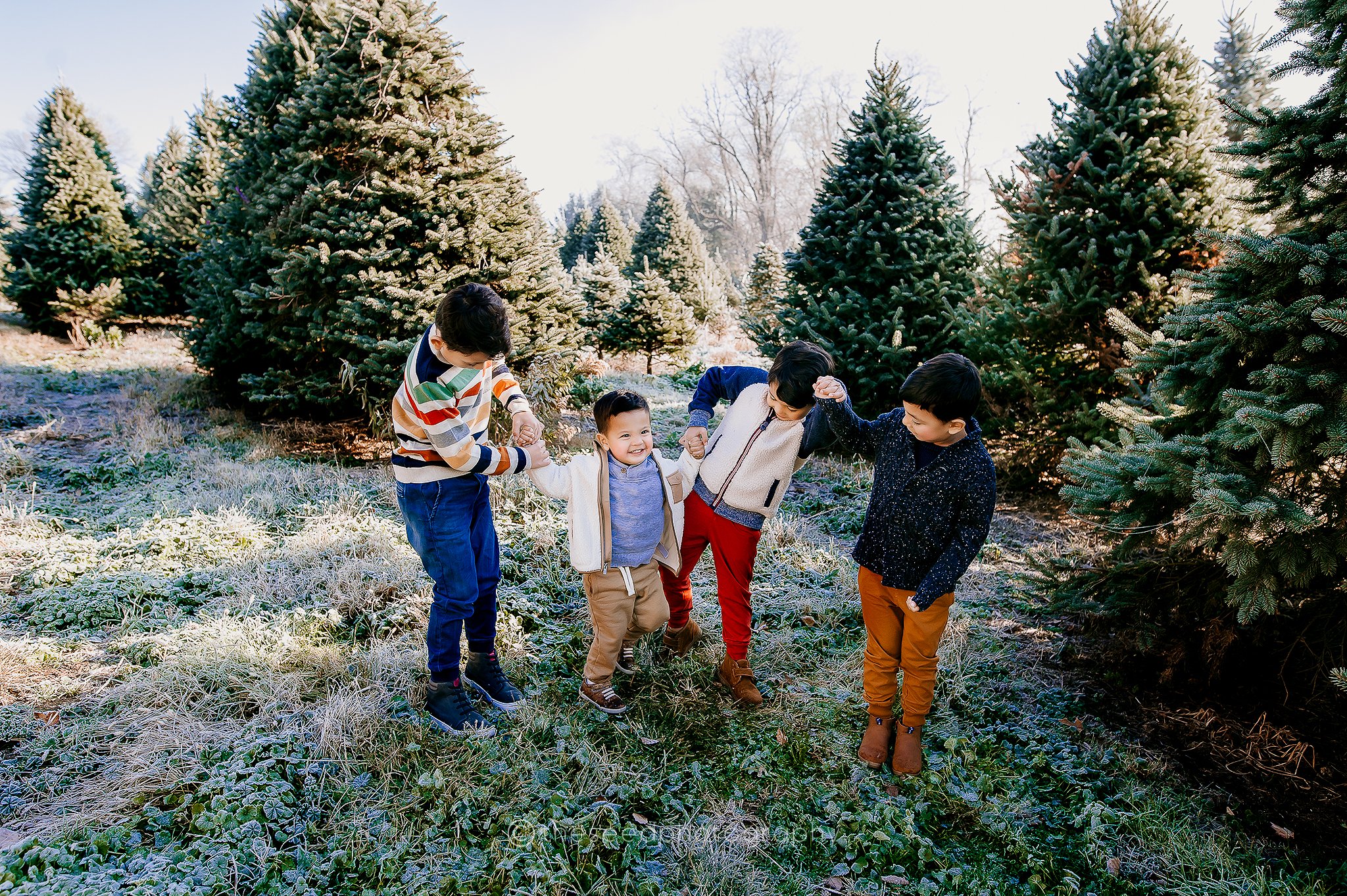 WEB PHOTOS (7).jpg