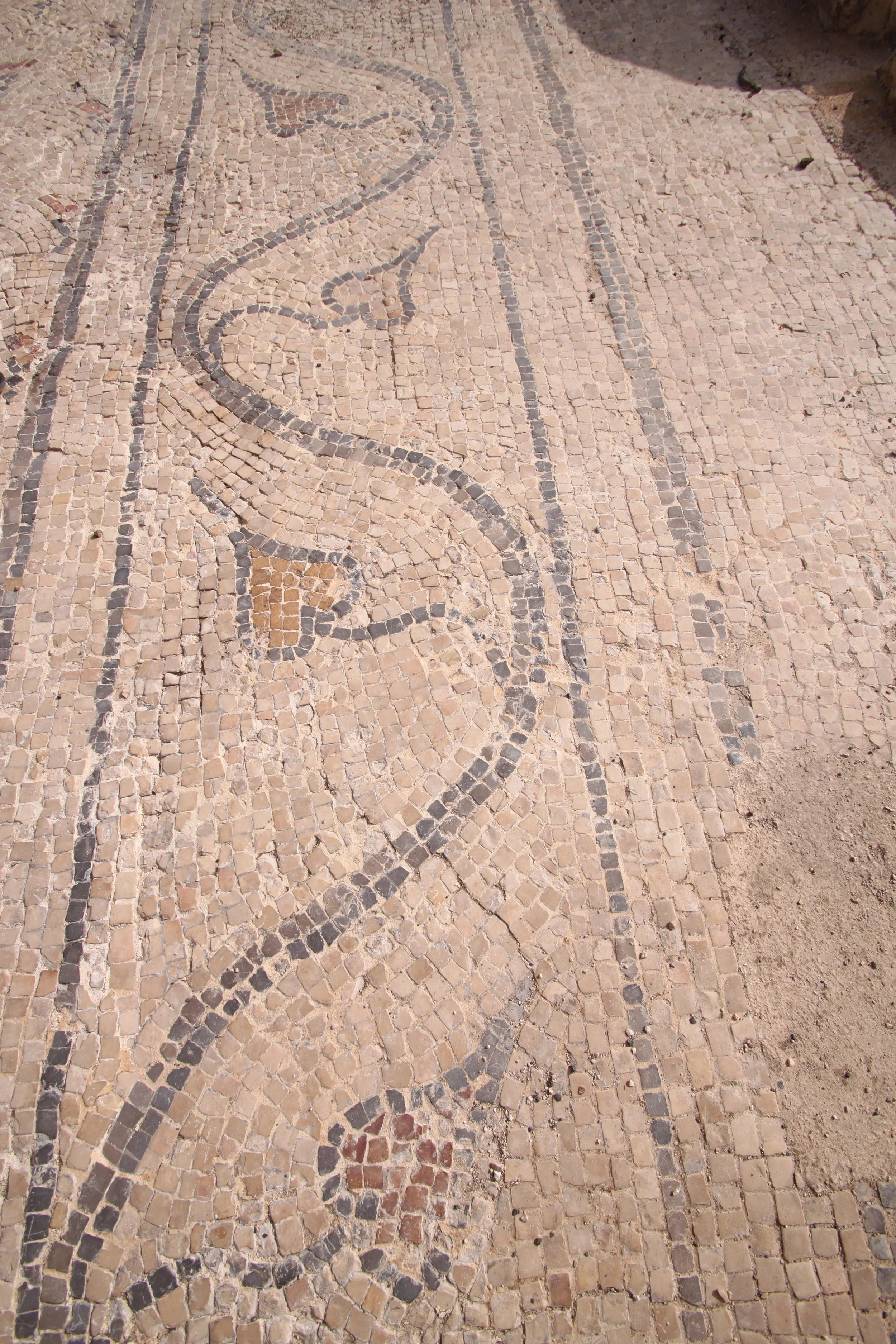 20110502-Israel Day 3 Bet She'an & Masada 051.jpg
