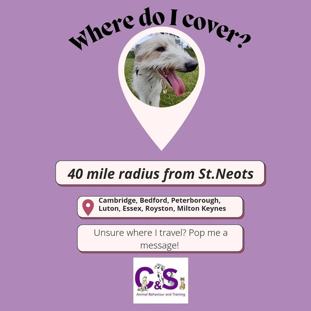 🐾🐾The area I cover 🐾🐾

#business #businesslocal #businesslocation #dogtraining #cattraining #pet #petraining #behavioirist #petsofinstagram #petbehaviourist #equine #horse #horsebusiness #naturalhorsemamship #forcefree #positivereinforcement #pos