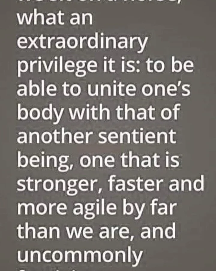 Love this quote. 

I always try and remember what a privilege it is to be aboard a horse and working alongside them. 

 #naturalhorsecare #naturalhorsemanship #horselover #horselife #horselove #horsemanship #horsepower #horseriding #horsebackriding #