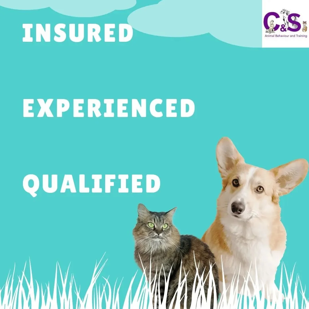 When looking for a pet professional make sure they are fully prepared to help you. 

I'm fully qualified to degree level, have over 12 years of experience working with animals of all types, and I'm fully insured for everyone's safety! 

Finding a pro