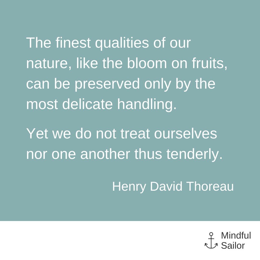 Be kind to yourself when your mind wanders during meditation.

Why? Because it's training for the rest of your life. For being kind to yourself when you react before you think. For being patient on the days you can't stay focused, or when your emotio