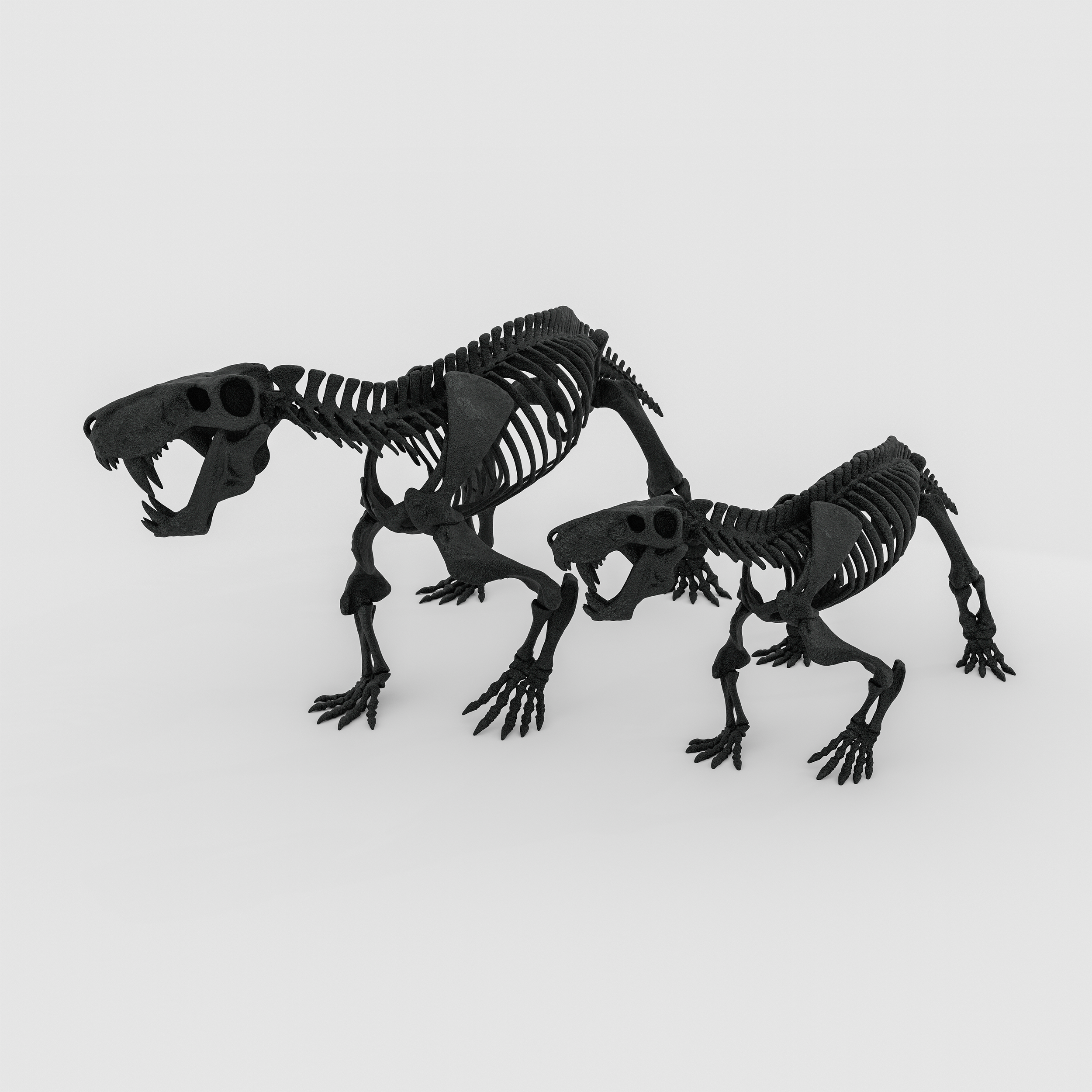 Inostrancevia - 3D printed skeleton