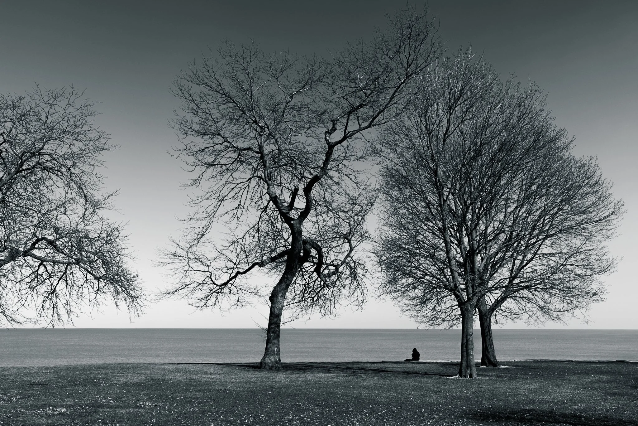 Recipient of Best Black & White Photograph, 2023 Montgomery International Photo Festival 
(Exhibited at Troy University)