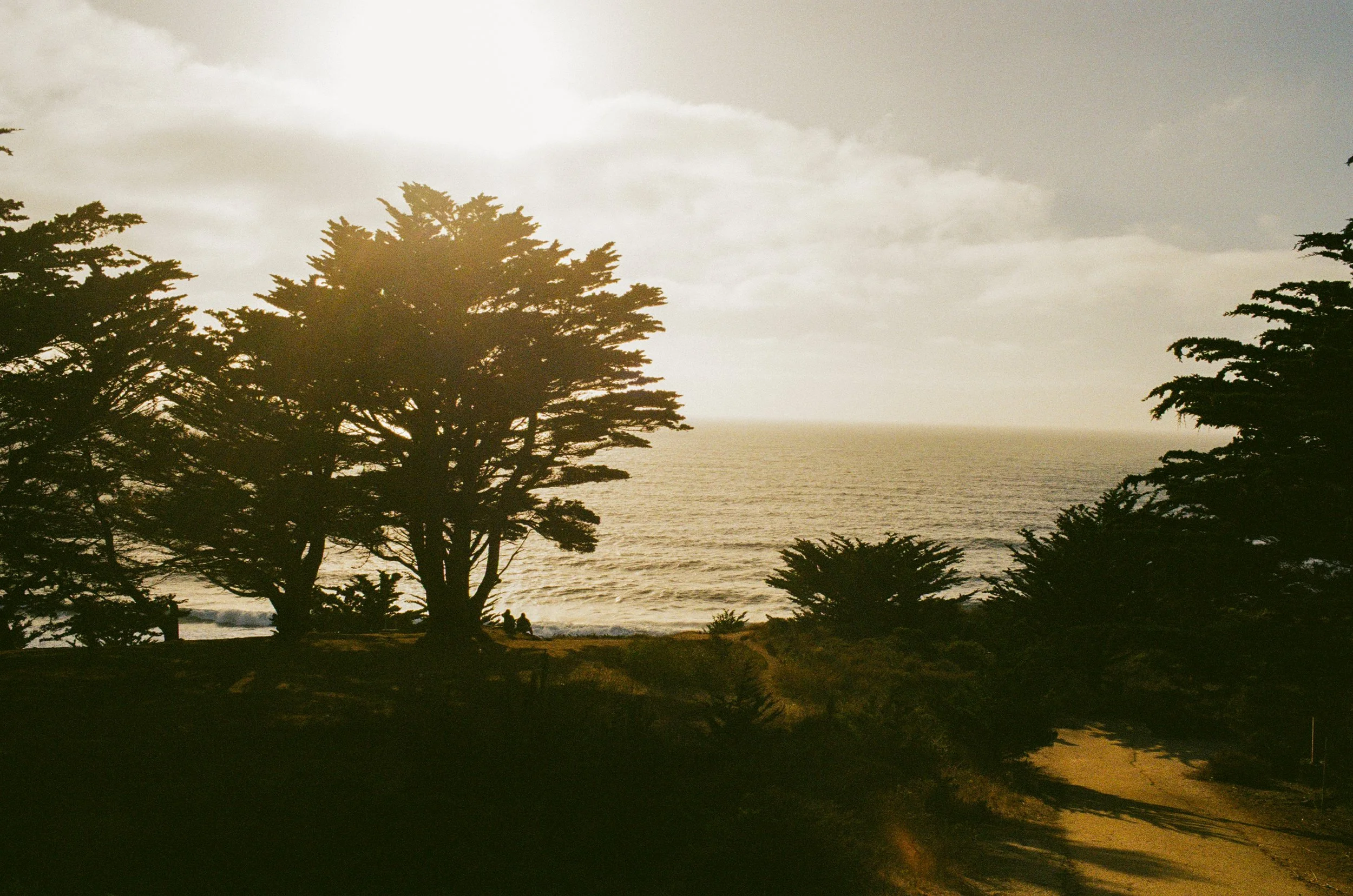 000063780020 copy.jpg