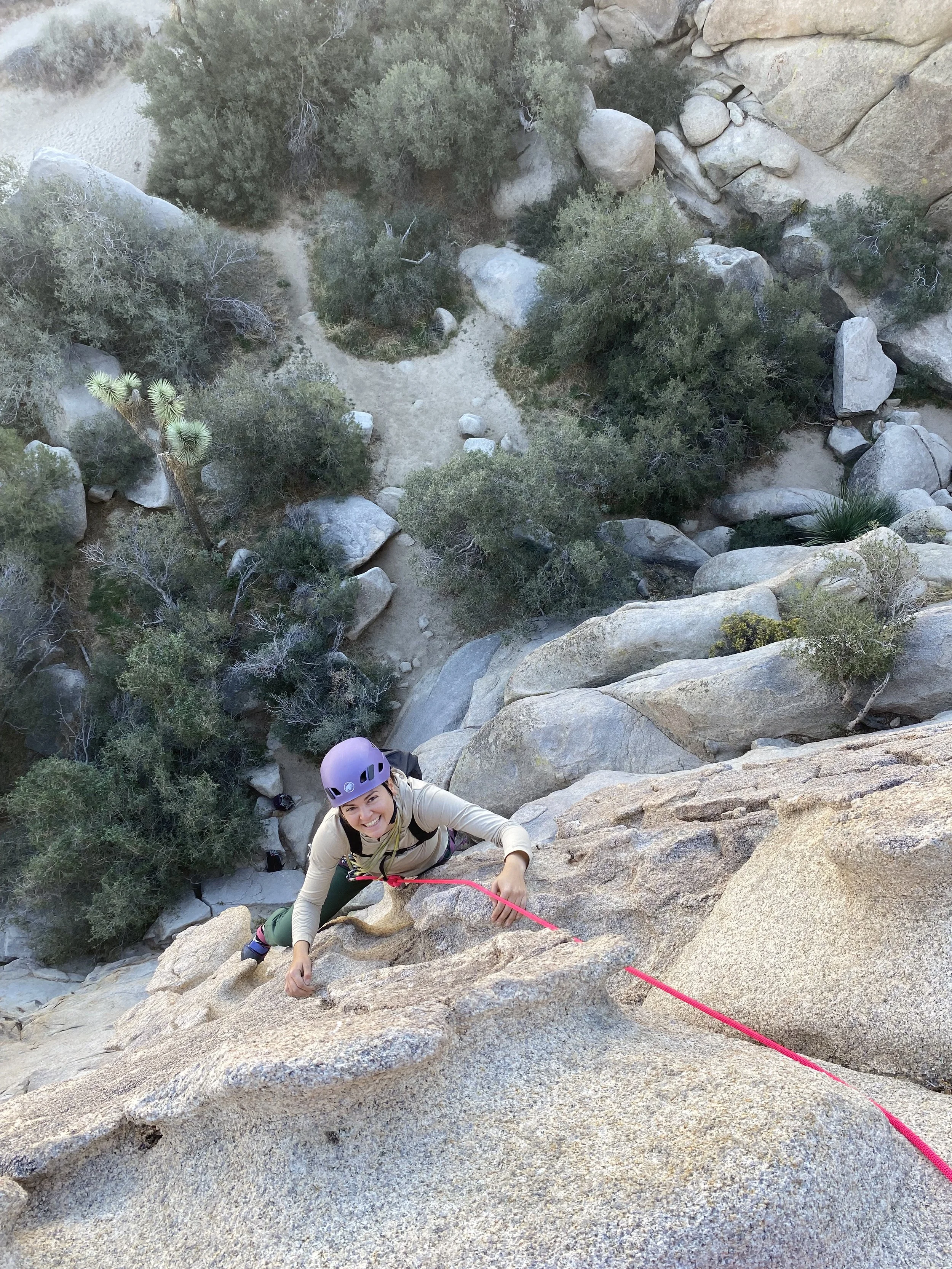 joshua tree promo2.jpg