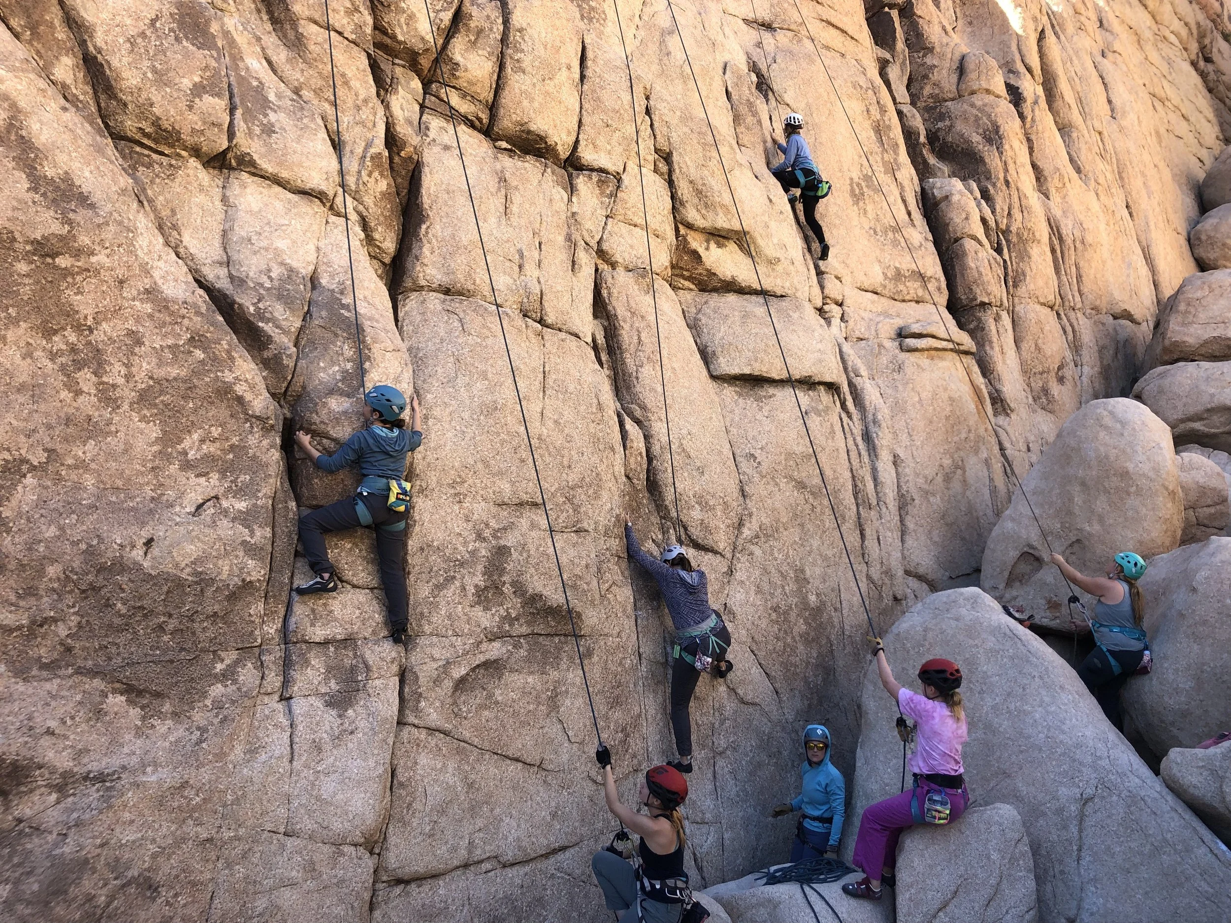 joshua tree promo4.jpg