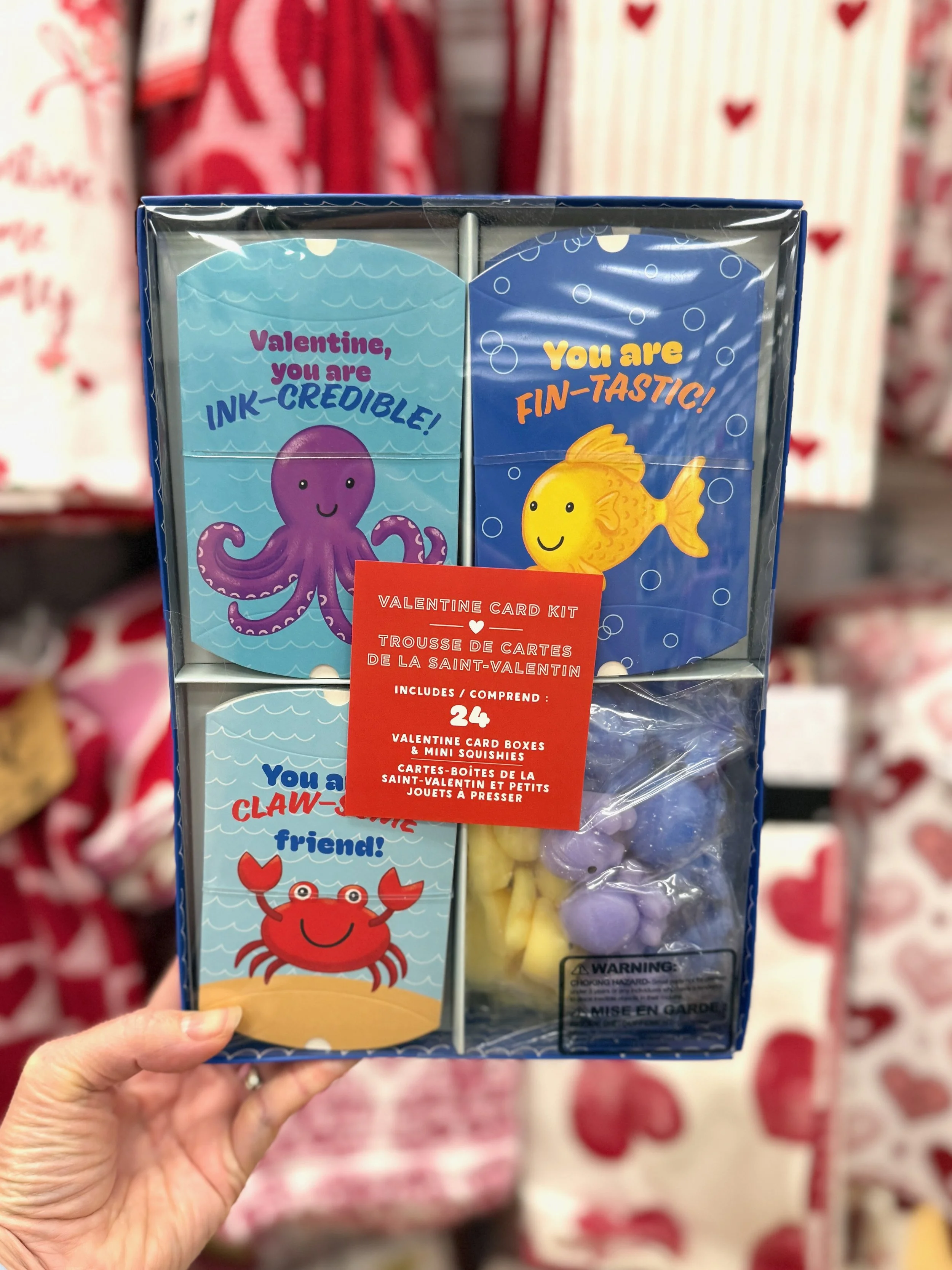 Valentine Card Kit for TJX