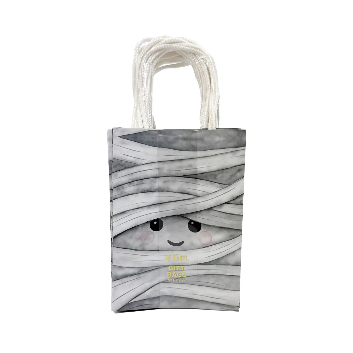 Mini Gift Bag Set for TJX