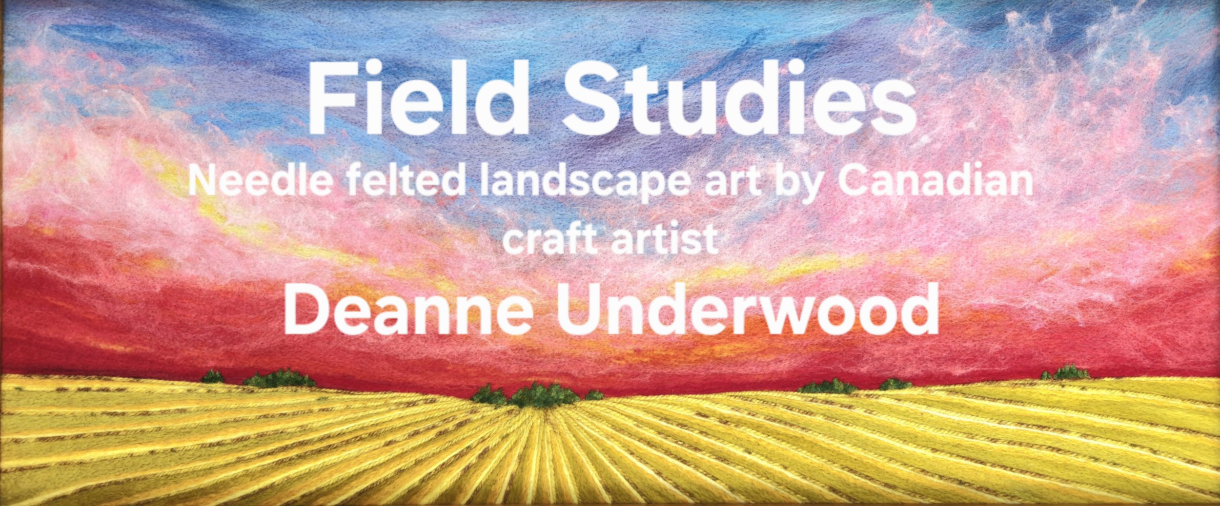 Field Studies