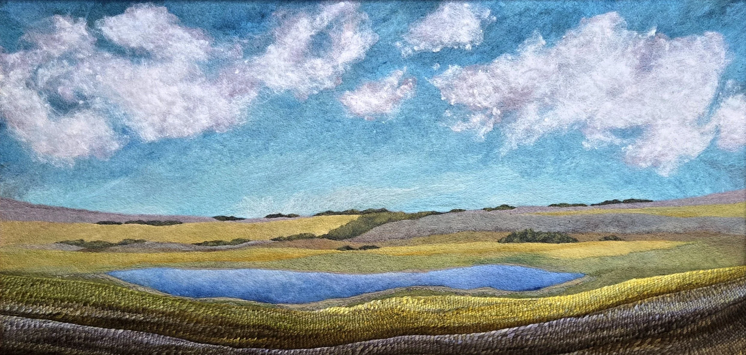 Field Studies opening reception