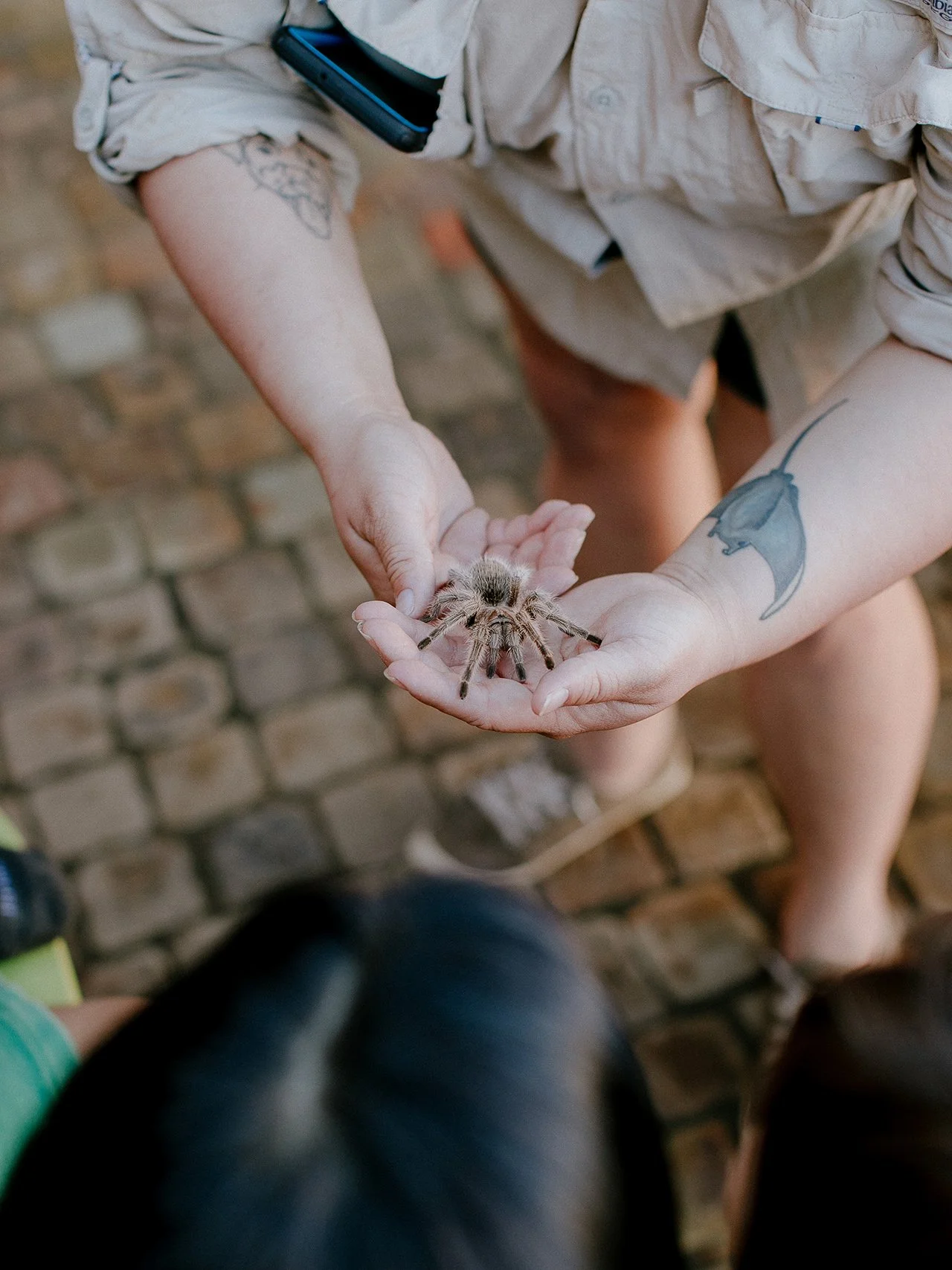 3rd Birthday Party • Danny 