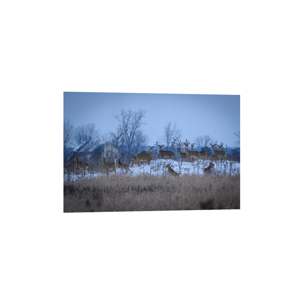 fineartprints_rectangle2_3_0_0_3729_2486_0_false_ffffff_0_0.png