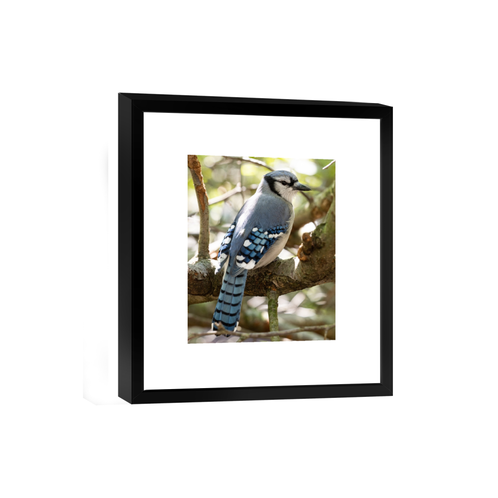 smartframe_rectangle4_5_0_0_2544_3180_0_false_ffffff_0_0.png
