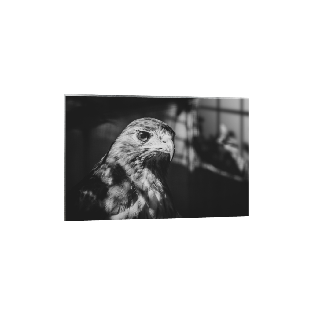 metalprint_rectangle2_3_0_0_3169_2112_0_false_ffffff_0_0.png