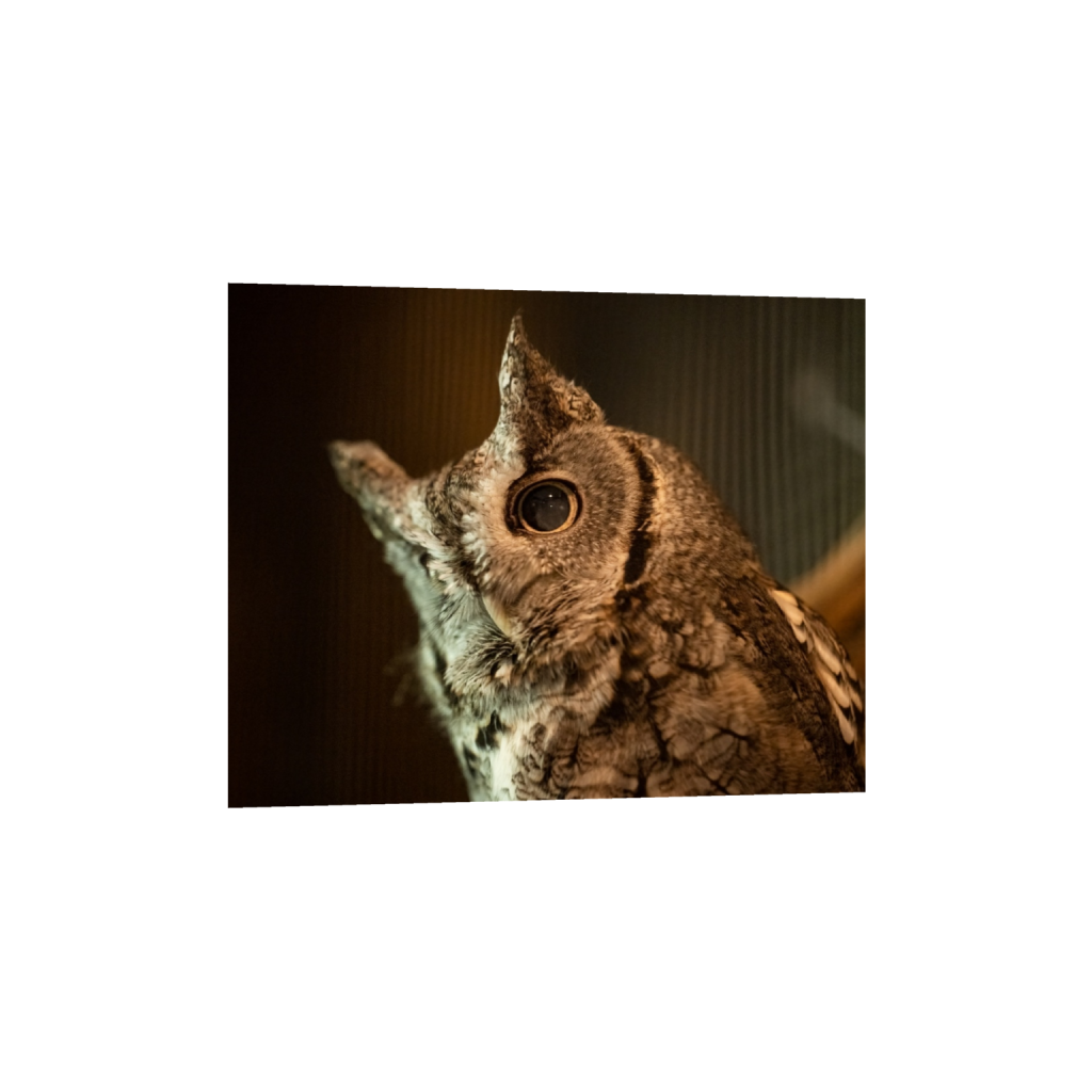 fineartprints_rectangle4_5_0_0_5882_4705_0_false_ffffff_0_0.png
