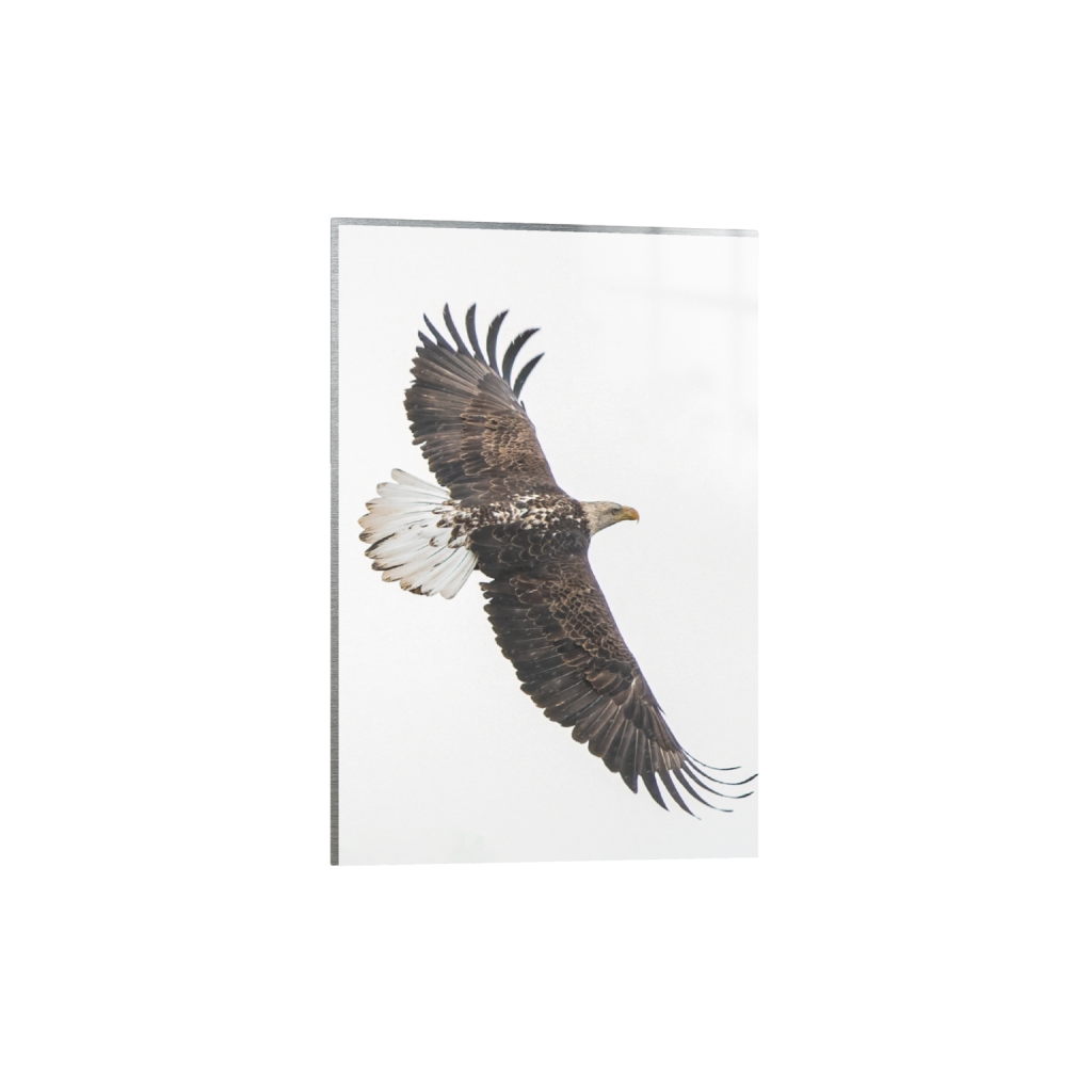 metalprint_rectangle2_3_0_1_1131_1696_0_false_ffffff_0_0.png