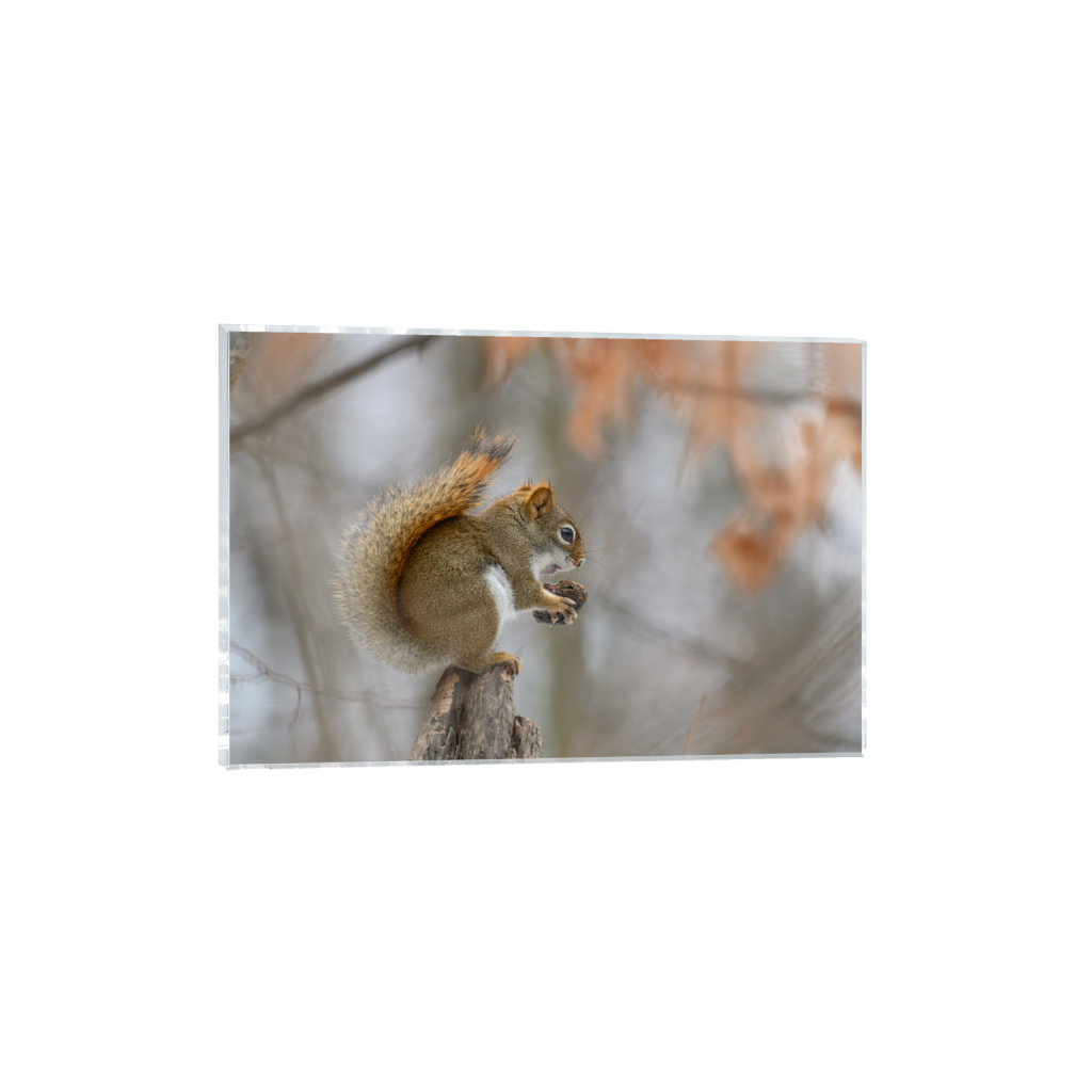 acrylicprint_rectangle2_3_0_0_6790_4526_0_false_ffffff_0_0.png