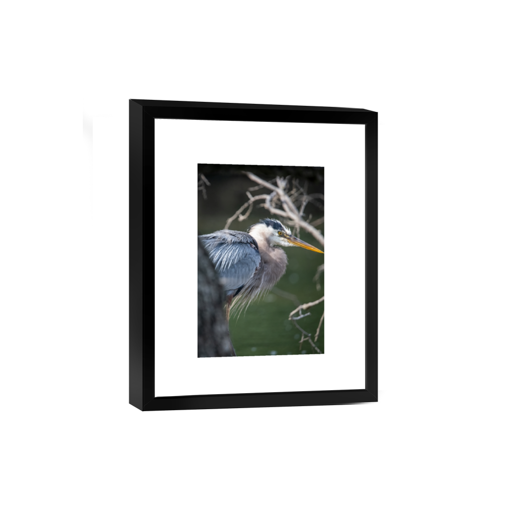 smartframe_rectangle2_3_0_0_3390_5086_0_false_ffffff_0_0.png