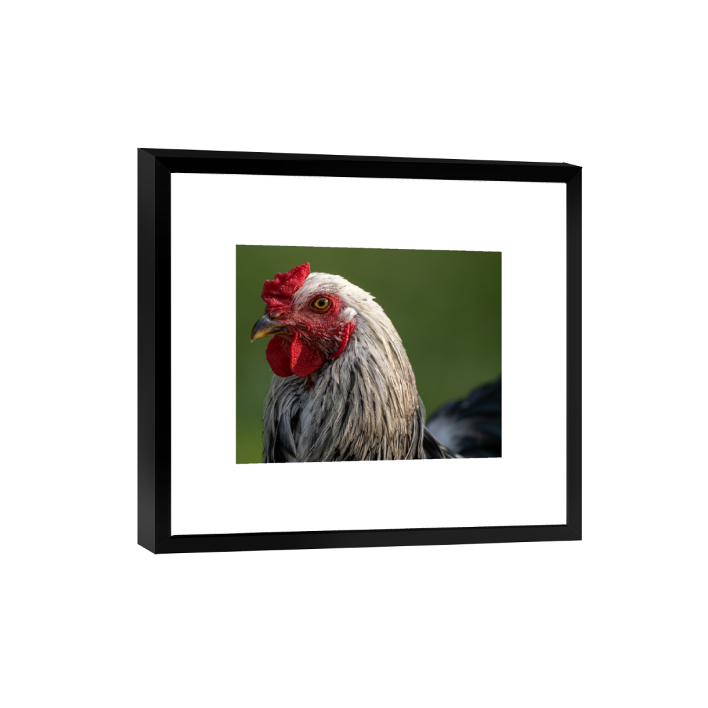 smartframe_rectangle4_5_489_0_4897_3918_0_false_ffffff_0_0.png