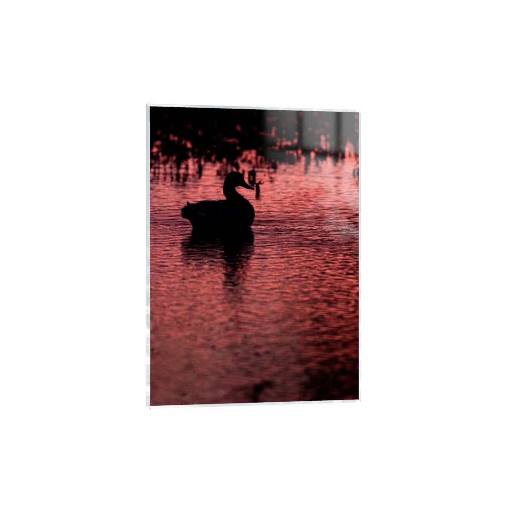 acrylicprint_rectangle5_7_158_0_2649_3709_0_false_ffffff_0_0.png