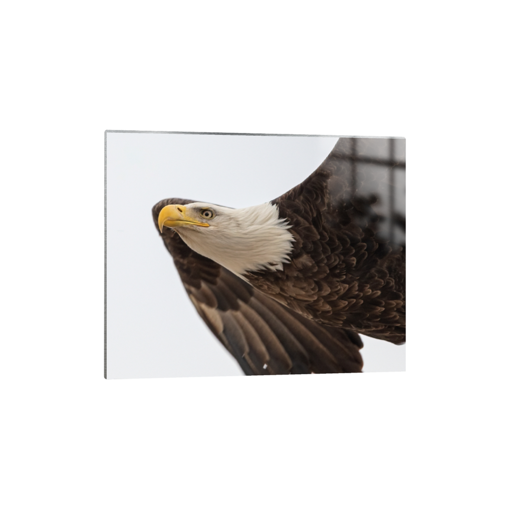 metalprint_rectangle4_5_92_0_1535_1228_0_false_ffffff_0_0.png