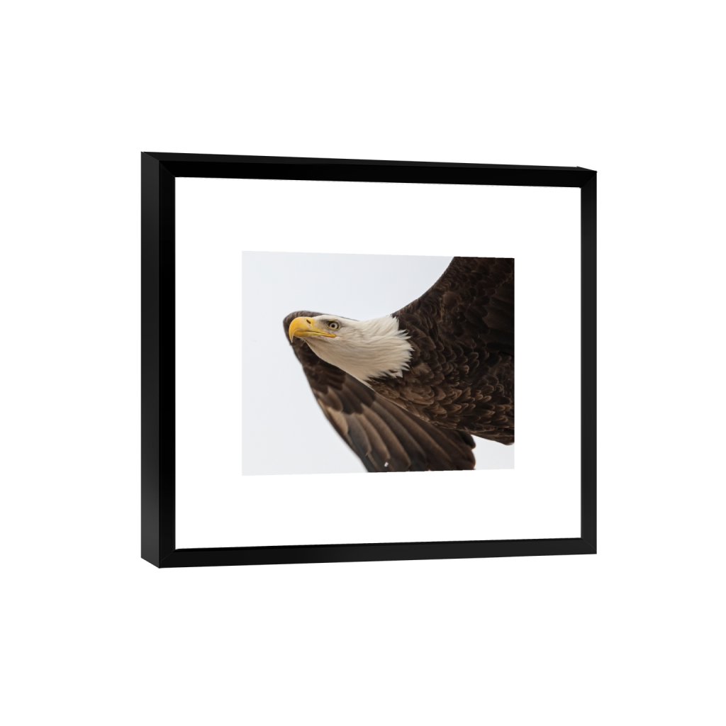 smartframe_rectangle4_5_92_0_1535_1228_0_false_ffffff_0_0.png
