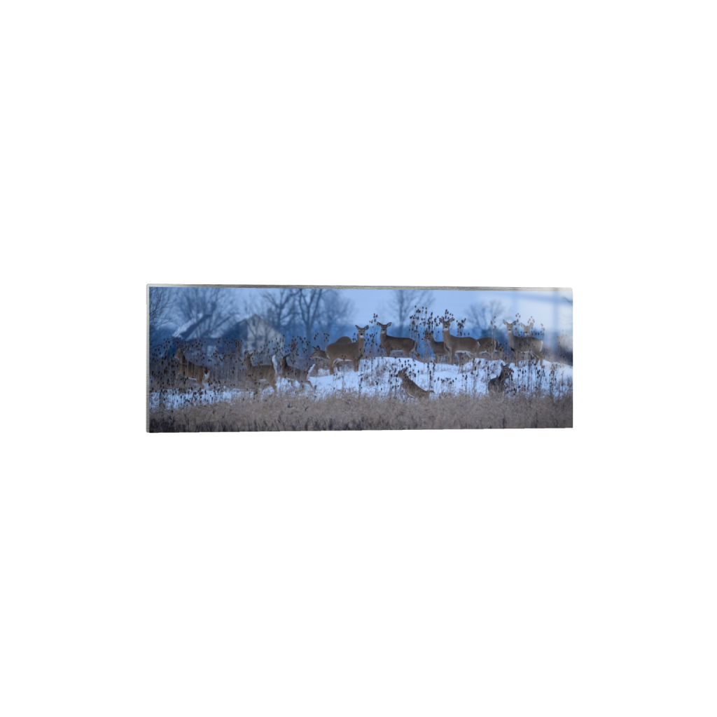 metalprint_rectangle1_3_0_795_3729_1243_0_false_ffffff_0_0.png