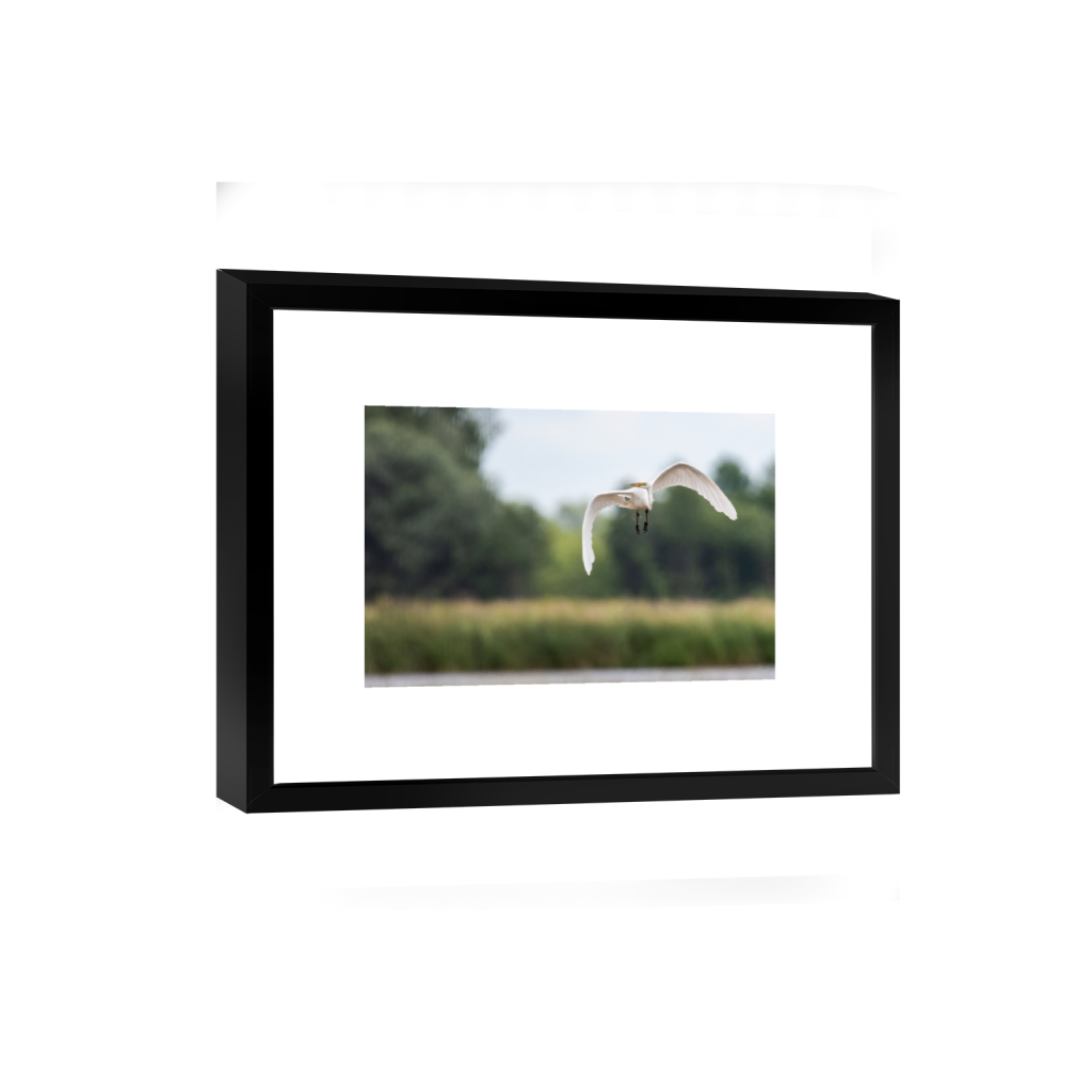 smartframe_rectangle2_3_8_0_2512_1675_0_false_ffffff_0_0.png