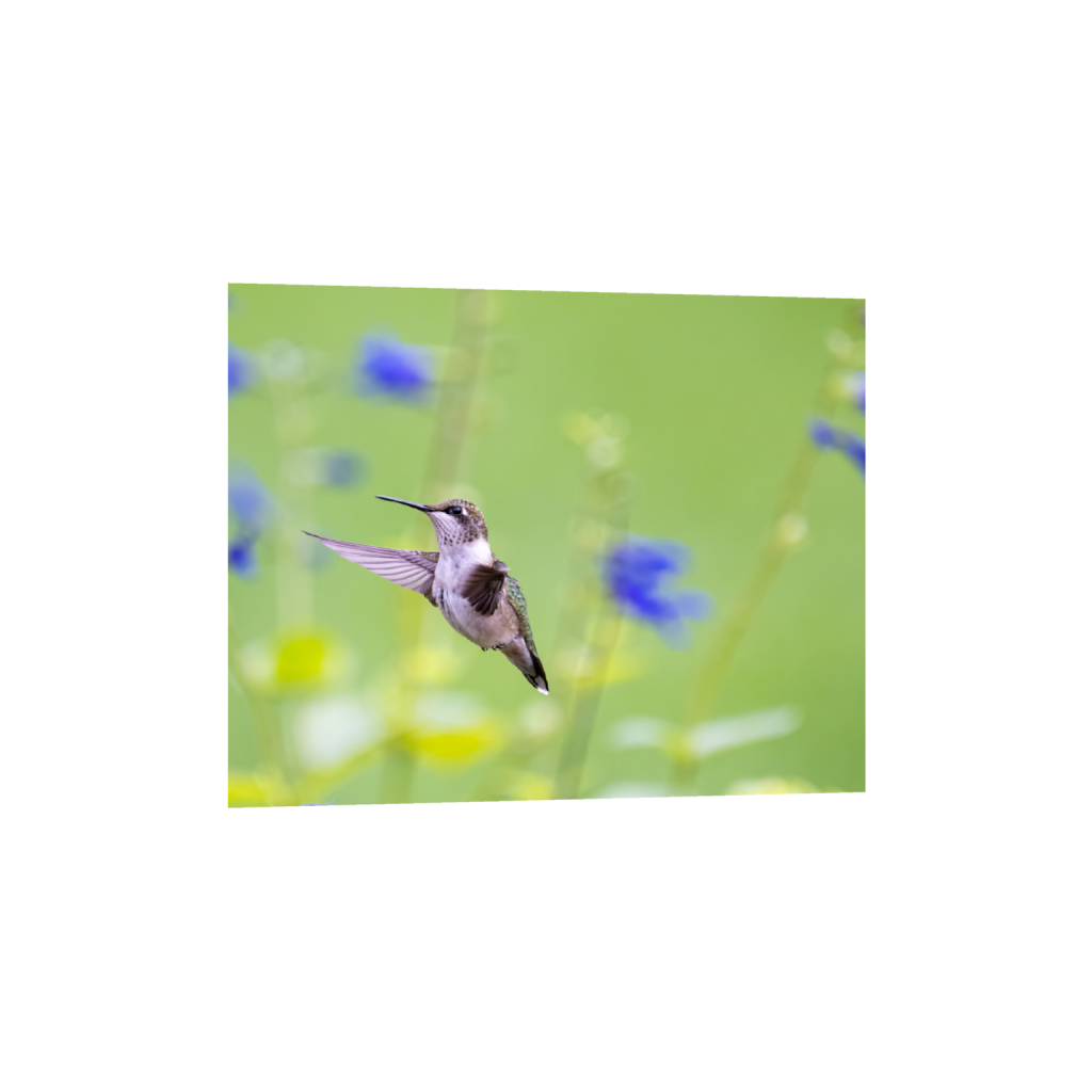 fineartprints_rectangle4_5_162_0_2262_1810_0_false_ffffff_0_0.png