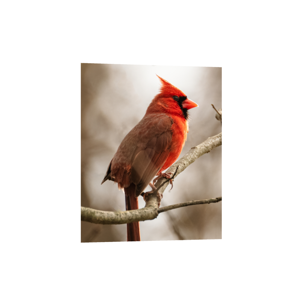 fineartprints_rectangle4_5_0_0_1990_2487_0_false_ffffff_0_0.png