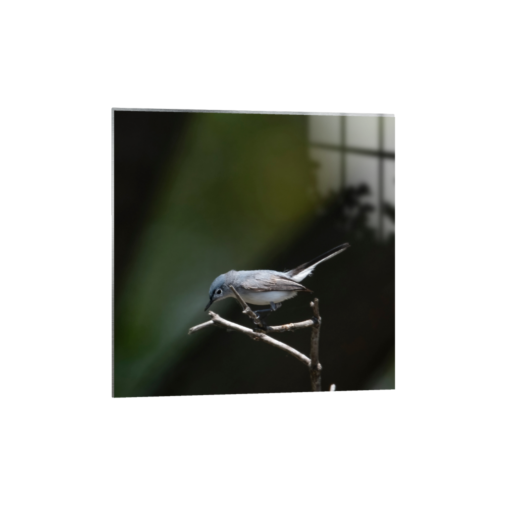 metalprint_square_0_622_2148_2148_0_false_ffffff_0_0.png