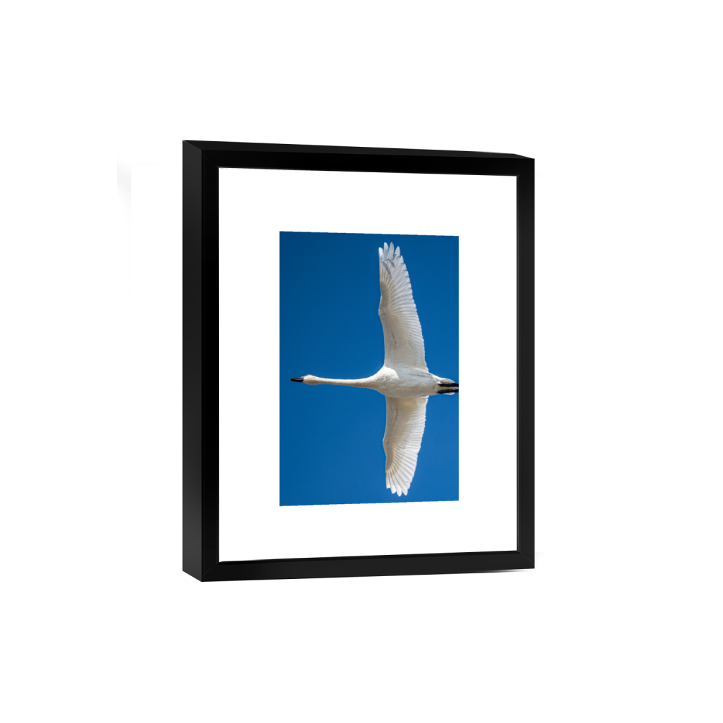 smartframe_rectangle2_3_0_0_1694_2542_0_false_ffffff_0_0.png