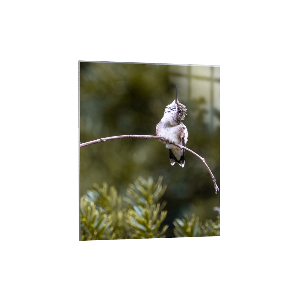 metalprint_rectangle4_5_0_0_1274_1592_0_false_ffffff_0_0.png