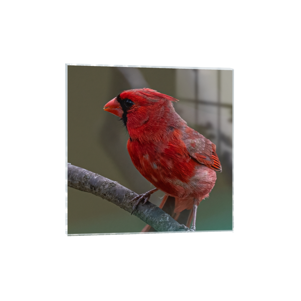 acrylicprint_square_0_53_1195_1195_0_false_ffffff_0_0.png