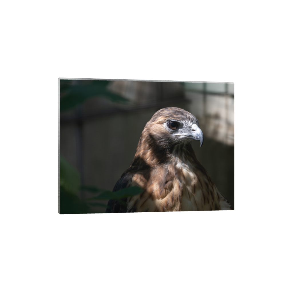 metalprint_rectangle3_4_424_0_3534_2651_0_false_ffffff_0_0.png