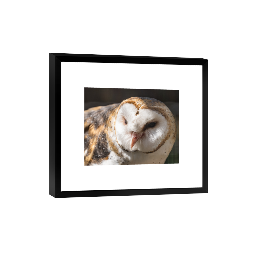 smartframe_rectangle4_5_416_0_2080_1664_0_false_ffffff_0_0.png