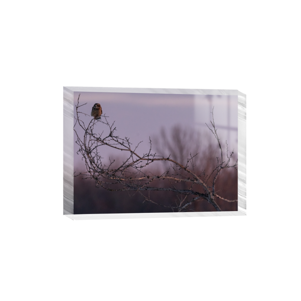 acrylicdesktopprint_rectangle5_7_254_0_3647_2605_0_false_ffffff_0_0.png