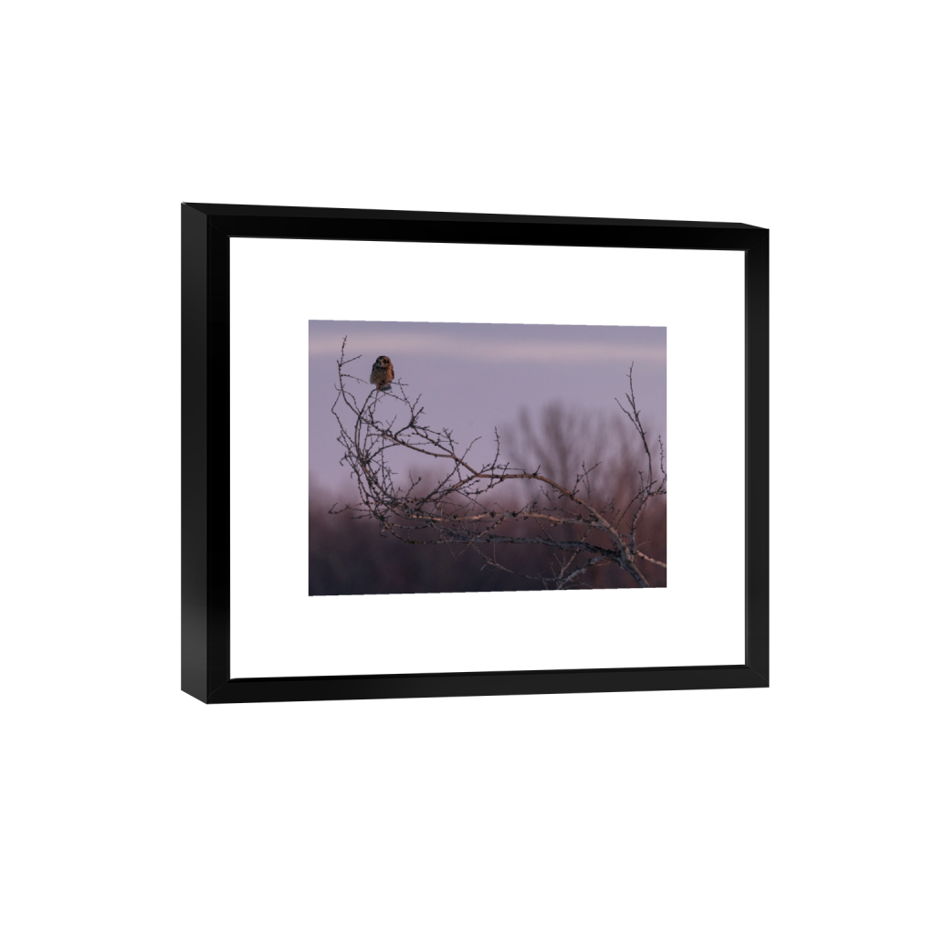 smartframe_rectangle3_4_234_0_3473_2605_0_false_ffffff_0_0.png