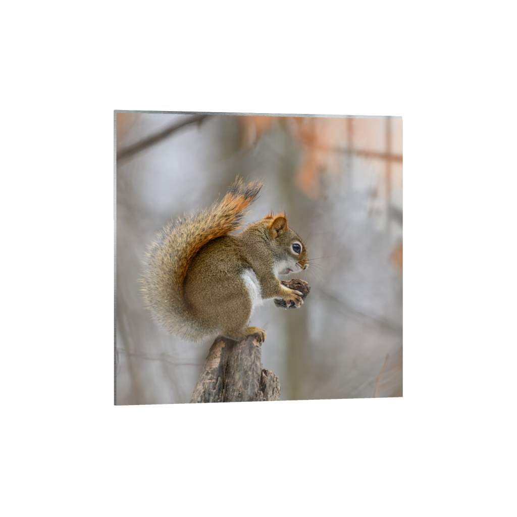 metalprint_square_679_0_4527_4527_0_false_ffffff_0_0.png