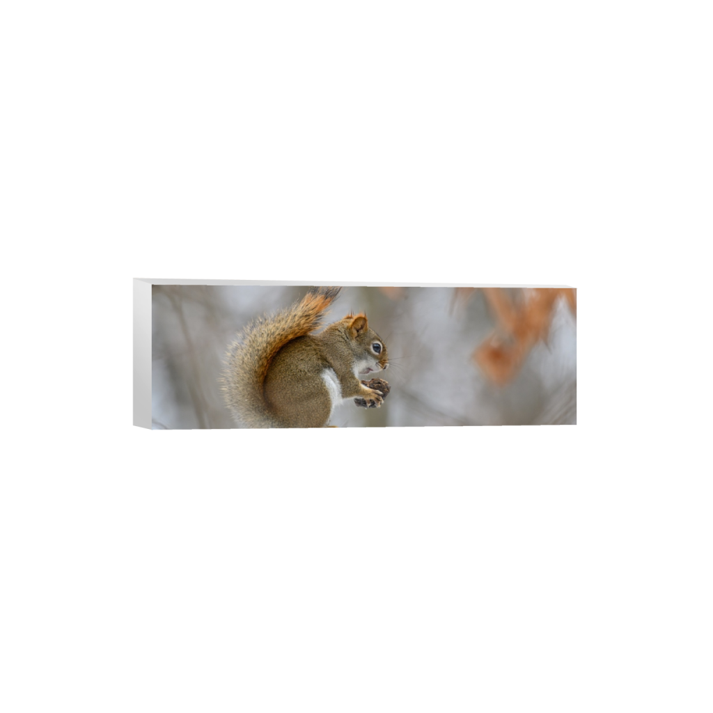 canvas_rectangle1_3_0_1109_6790_2263_0_false_ffffff_0_0.png