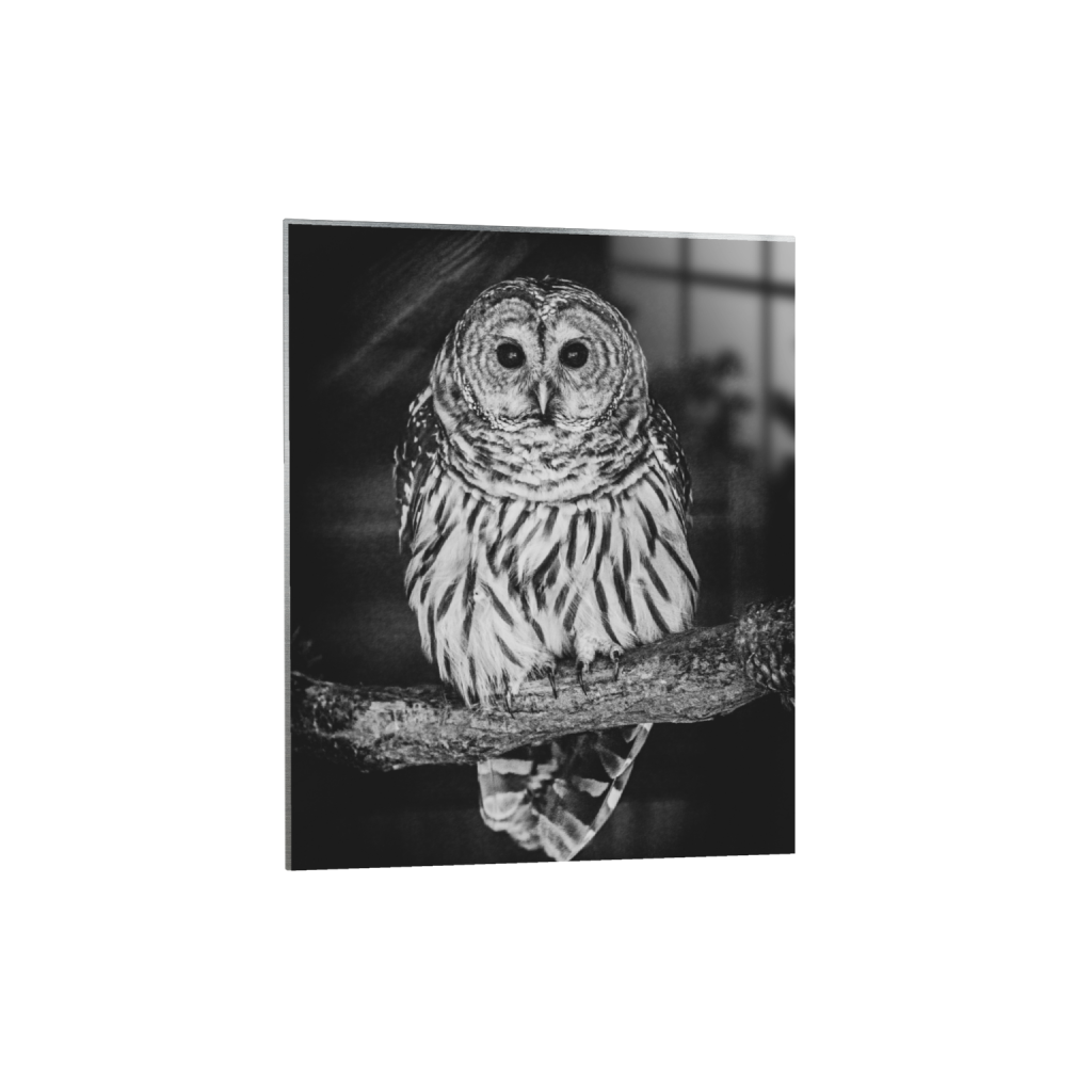 metalprint_rectangle4_5_0_437_2797_3496_0_false_ffffff_0_0.png