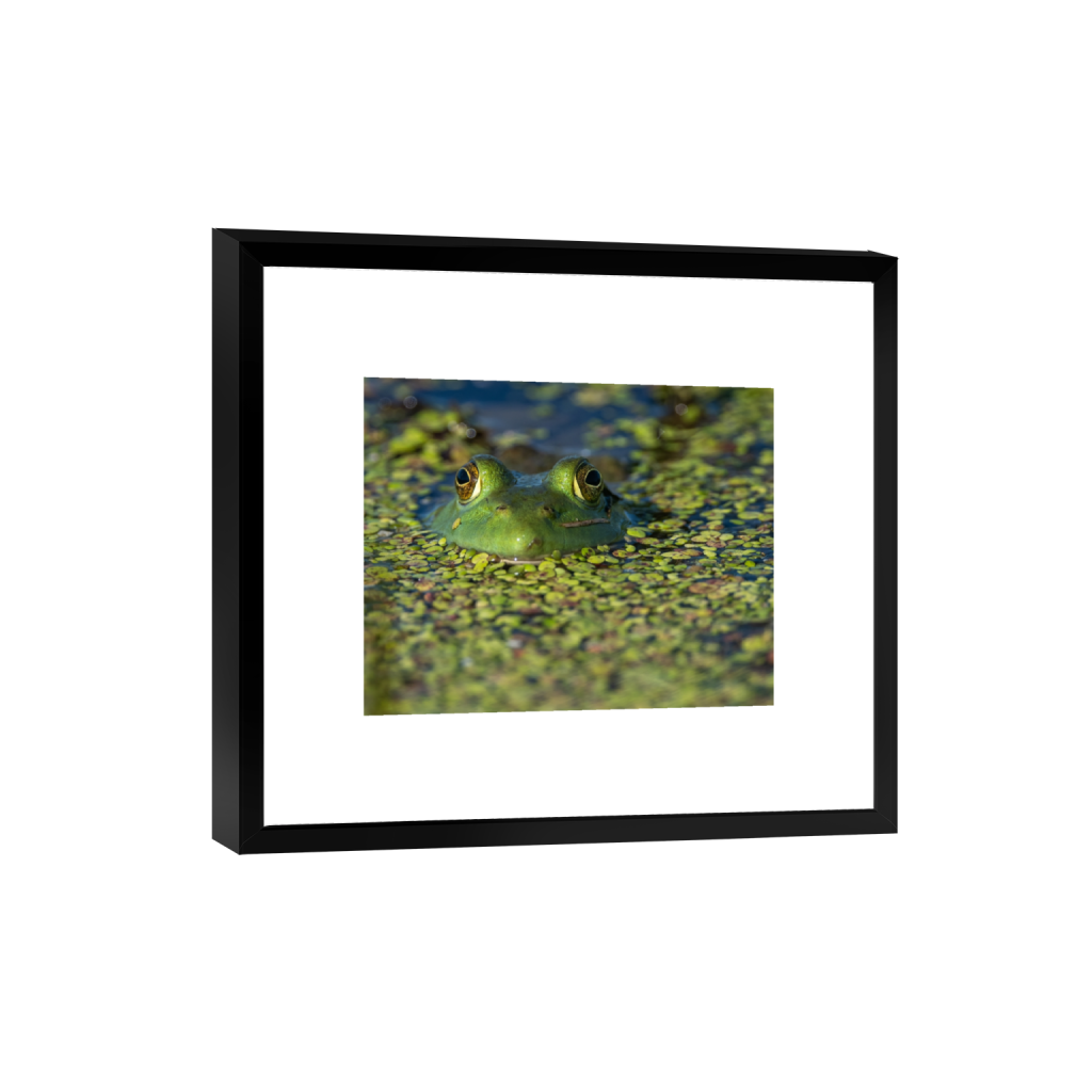 smartframe_rectangle4_5_182_0_3046_2437_0_false_ffffff_0_0.png