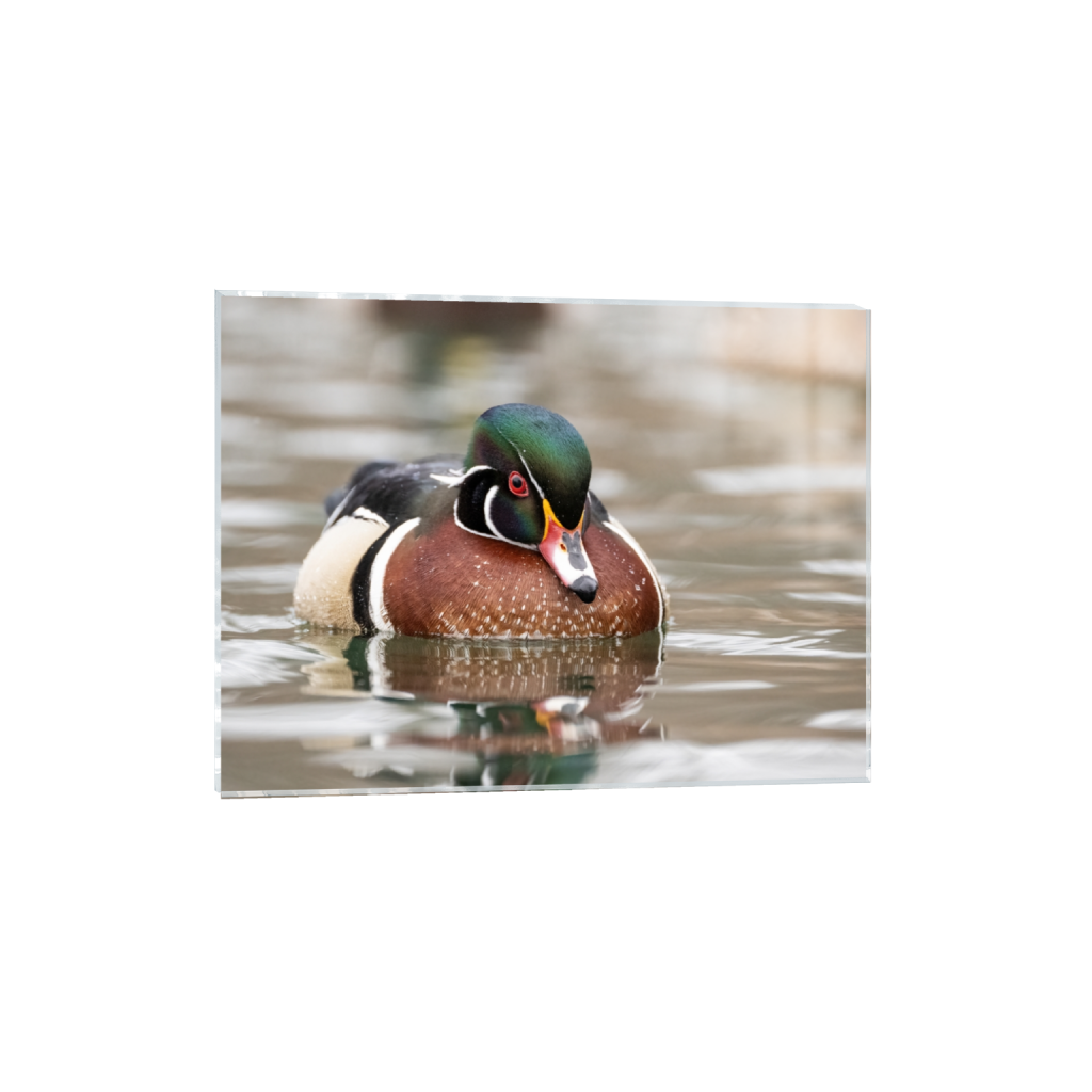 acrylicprint_rectangle3_4_55_0_4926_3695_0_false_ffffff_0_0.png